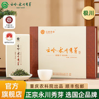 云岭茶业永川秀芽2024新茶极川明前绿茶高档茶叶礼盒装重庆特产客户 极川茶礼100g