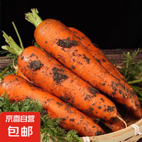京喜加新鲜现挖现发胡萝卜农家自种蔬菜水果沙地红萝卜 带泥胡萝卜3斤 含箱