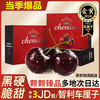 蒲恋10斤车厘子次日达江浙沪皖鲁智利樱桃孕妇水果年货团购礼盒送礼 1250g(净重)  精选XL级单果4-6g
