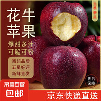 京喜加甘肃平安果天水花牛苹果粉面香甜辅食应季新鲜水果整箱 3斤小果70-75mm 带箱3斤小果