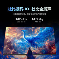 FFALCON 雷鸟 100MAX 25款 100英寸巨幕 4K144Hz 4+128G 一级能效家电平板100S585C Max-A 100英寸 MAX 25款