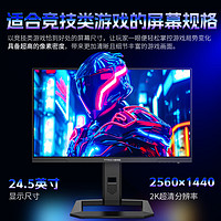 泰坦军团 24.5英寸 2K 240Hz QD量子点-MiniLED DC调光 HDR1000 升降旋转 FastIPS 1msGTG电竞显示器 P245MS