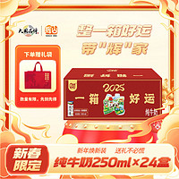 Huishan 辉山 纯牛奶250ml