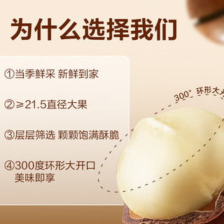 良品铺子夏威夷果500g/罐装 坚果果仁炒货干果休闲零食 【300°大开口】夏果500g1罐