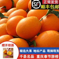 逮果 重庆奉节脐橙纽荷尔脐橙橙子礼盒装80优鲜大果10斤现摘现发冰糖橙 长虹脐橙带箱5斤装 精选5斤大果