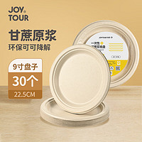 佳途 JOYTOUR 户外野餐用品 一次性盘子碗餐盘餐具免洗烧烤盆便携碟子 9寸30只