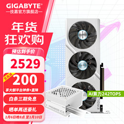 GIGABYTE 技嘉 RTX 4060 8G显卡 套装】4060 冰猎鹰8G+550W电源