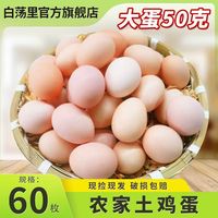 【50克大蛋】60枚白荡里农家散养新鲜土鸡蛋营养现捡现发