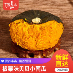 佑嘉木 山东贝贝南瓜栗 净重4.6斤