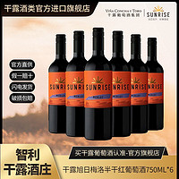 百亿补贴：CONCHA Y TORO 干露 旭日梅洛半干红葡萄酒智利进口红酒750ml*6整箱