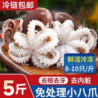 卖鱼七郎小八爪鱼新鲜迷你章鱼鲜活冷冻短腿八带章鱼足捞汁小海鲜