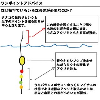 DAIWA达亿瓦溪流竿便携钓鱼竿手杆握感舒适综合尺钓