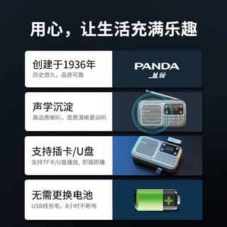  PANDA/熊猫 多功能 收音机