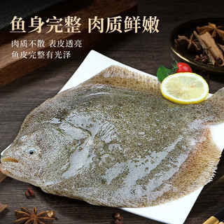 一虾一世界鲜活三去多宝鱼（去鳞去腮去内脏）生鲜鱼类 开袋即烹 净重400g*4条【免处理】