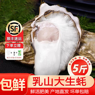 百鲜洽 乳山生蚝鲜活特大海鲜牡蛎海蛎子肉水产整箱商用批发刺身国庆节烧 2XL箱装5斤(约20-25只)