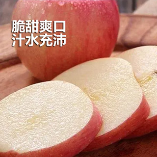 HUABEIQIANG山西红富士苹果水果脆甜冰糖心丑苹果新鲜时令水果水果坏果包赔 净重2.5斤装75mm