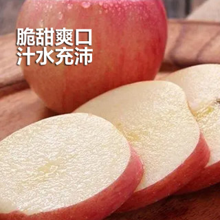 HUABEIQIANG山西红富士苹果水果脆甜冰糖心丑苹果新鲜时令水果水果坏果包赔 净重2.5斤装75mm
