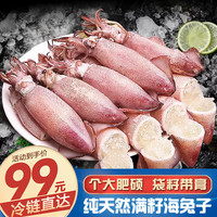 百鲜洽海兔子满籽鲜活笔管鱼海鲜新鲜全籽籽乌冷冻墨鱼仔乌贼小鱿鱼水产 海兔子*3