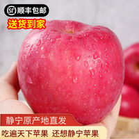 静宁苹果 【到家】甘肃红富士苹果 现摘当季新鲜水果苹果 优选净重8斤宝宝果单果160-200g 24枚70净重8斤宝宝果