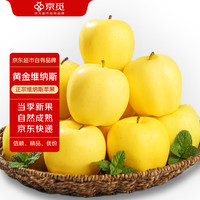 京觅山东维纳斯苹果黄金 生鲜水果 净含量8.5斤 单果150g+ 源头直发