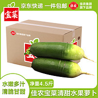 佳农 宝菜山东新鲜水果萝卜清脆爽口单果400g+净重4.5斤装源头直发