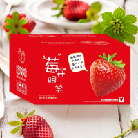 智颖源四川大凉山红颜草莓 新鲜水果红颜99奶油草莓生鲜新鲜水果 带箱5斤特大果【净重4.2斤】