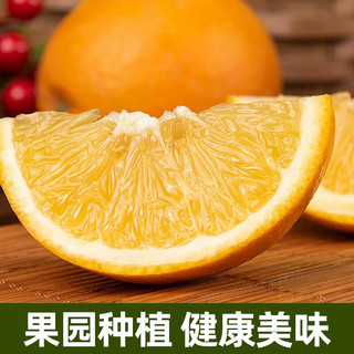 京地达赣州脐橙新鲜甜橙当季水果皮薄多汁净重 70mm+ 源头直发包邮