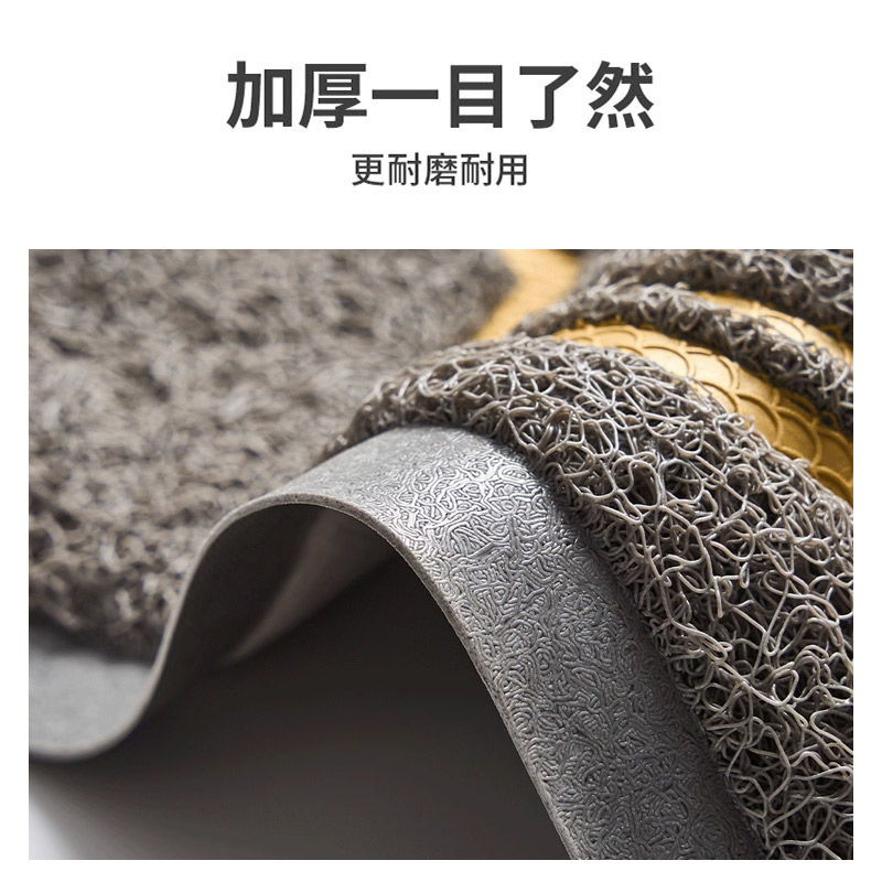 入户门地垫大门口进门丝圈脚垫门外玄关进户除尘门垫出入平安地毯