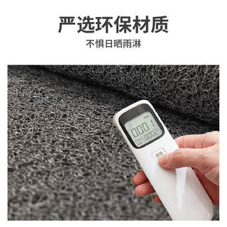 入户门地垫大门口进门丝圈脚垫门外玄关进户除尘门垫出入平安地毯