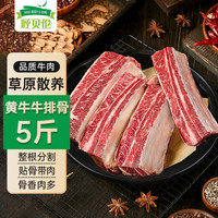 呼贝伦国产黄牛 牛排骨 生鲜牛肉肋条冷冻烧烤火锅牛肉食材 源头直发
