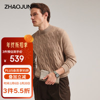 兆君2024秋冬纯色绞花山羊绒衫男士半高领打加厚底针织毛衣 大地驼 L