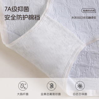 洁丽雅纯棉女士内裤A类婴儿棉女7A抗菌棉裆透气纯棉中腰高弹女生三角裤 绿色/蓝色/粉色 3条 M（70-100斤）