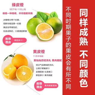 诸氏橙品【褚系严选】橙子水果 云南高山冰糖橙鲜果 香脐甜橙年货礼盒 钻石果12-15枚 |手提礼盒|商务礼 钻石果12枚 |手提礼盒 |商务礼赠