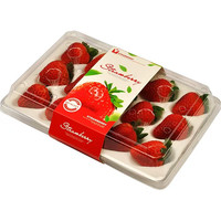 HYOJOO 红颜99草莓 1盒（单盒15粒净重300克+）