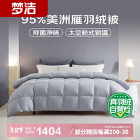 梦洁家纺 北斗 95%美洲雁绒羽绒被 春秋被冬季被 600g