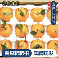 南方姑娘 四川 春见耙耙柑 5斤礼盒装