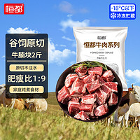 HONDO 恒都 国产谷饲原切牛腩块 2斤 偏瘦 肥瘦比1:9 生鲜牛肉 不注水不滚揉