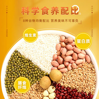 泰奇八宝粥 0添加速食粥早餐粥 混合口味装370g*10罐礼盒装 年货 【混合口味】370g*10罐 礼盒装