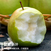 宏口福 玉露香梨 8斤 小果
