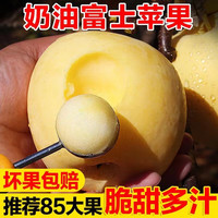 京地达 红富士苹果 85级大果 9斤
