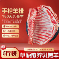 百鲜洽澳尔兰新鲜羊肉 现杀原切羊 鲜羊肉宁夏滩羊肉新鲜现宰原切羊排条 *