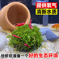 临雅 莫斯浮球 水草植物 直径约4cm*1个