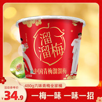 溜溜梅青梅全家桶乌梅西梅休闲解馋梅子年货过年零食大礼包 明星款全家桶