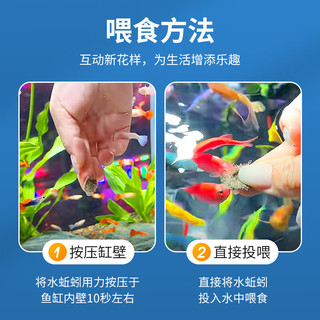 奈宠水蚯蚓粘贴鱼粮红线虫冻干小型鱼饲料孔雀鱼热带鱼斑马鱼金鱼饲料 【冻干水蚯蚓块】165ml