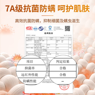 班尼路（Baleno）木耳边德绒打底衫女2024年冬季修身显瘦舒适亲肤保暖内搭长袖上衣