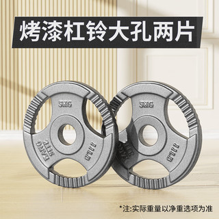 康斯特（KANGSITE） 杠铃片大孔手抓包胶片举重器材PU环保家用硬拉卧推房哑铃片 烤漆手抓杠铃片（大孔） 20KG 两片