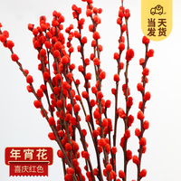 开时果 银柳鲜枝干花年宵花卉 红色真花福桶银柳水培植物室内装饰鲜花 【60cm】银柳20枝（喜庆红）