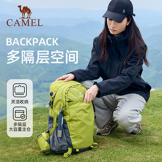 CAMEL 骆驼 户外登山包男女新款专业徒步背包防水旅行双肩包轻便书包运动