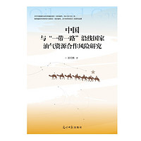 中国与“一带一路”沿线国家油气资源合作风险研究