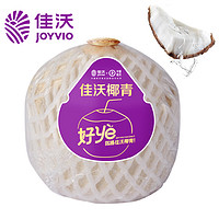 JOYVIO 佳沃 泰国进口椰青香水椰子 9个装 大果900g+